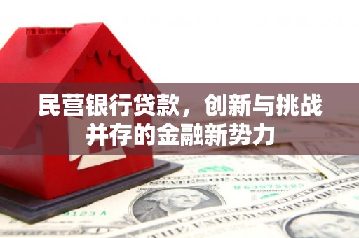 靖边民营银行贷款，创新与挑战并存的金融新势力