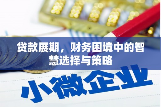 靖边贷款展期，财务困境中的智慧选择与策略
