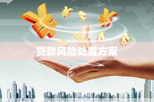 靖边贷款风险处置方案