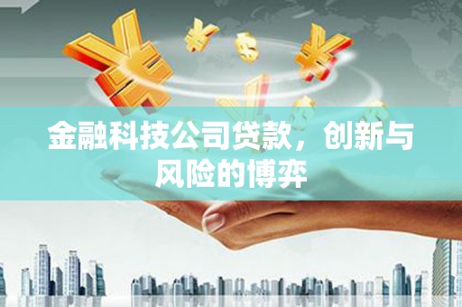 靖边金融科技公司贷款，创新与风险的博弈