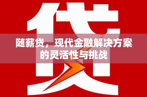 靖边随薪贷，现代金融解决方案的灵活性与挑战