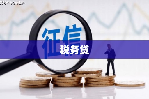 靖边税务贷