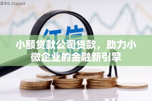 靖边小额贷款公司贷款，助力小微企业的金融新引擎