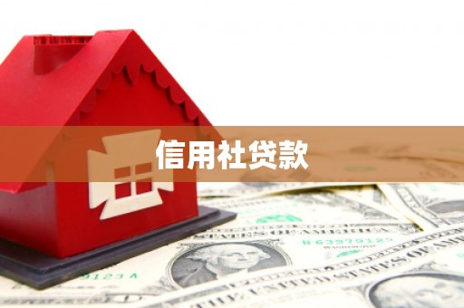 靖边信用社贷款