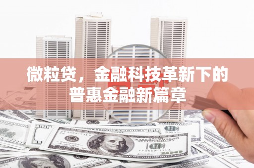 靖边微粒贷，金融科技革新下的普惠金融新篇章