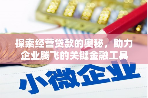 靖边探索经营贷款的奥秘，助力企业腾飞的关键金融工具