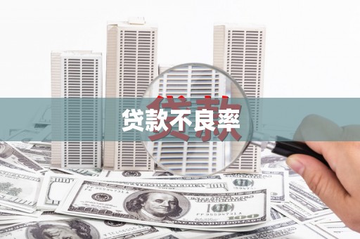 靖边贷款不良率