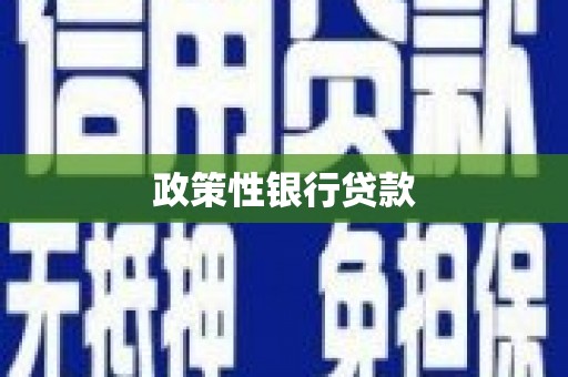 靖边政策性银行贷款