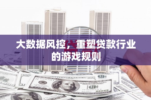 靖边大数据风控，重塑贷款行业的游戏规则