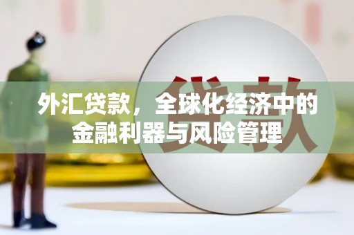 靖边外汇贷款，全球化经济中的金融利器与风险管理