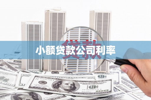 靖边小额贷款公司利率