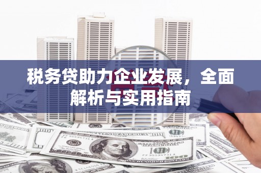 靖边税务贷助力企业发展，全面解析与实用指南
