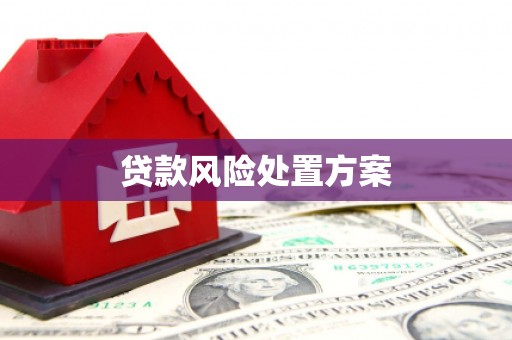 靖边贷款风险处置方案