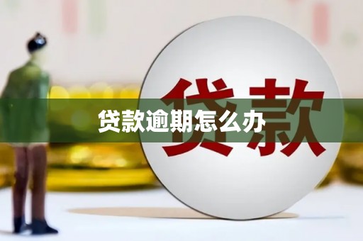 靖边贷款逾期怎么办