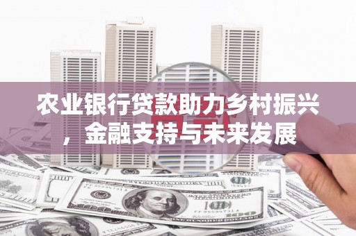 靖边农业银行贷款助力乡村振兴，金融支持与未来发展
