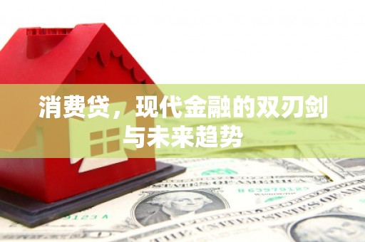 靖边消费贷，现代金融的双刃剑与未来趋势
