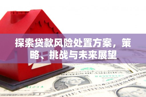 靖边探索贷款风险处置方案，策略、挑战与未来展望