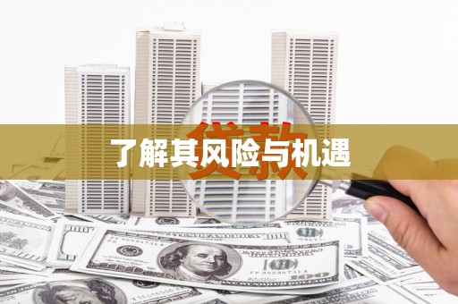 靖边了解其风险与机遇