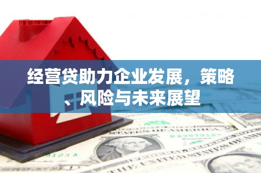 靖边经营贷助力企业发展，策略、风险与未来展望