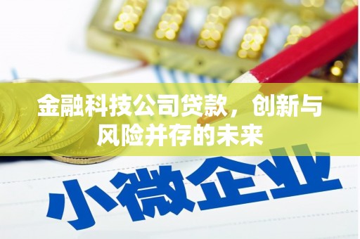 靖边金融科技公司贷款，创新与风险并存的未来