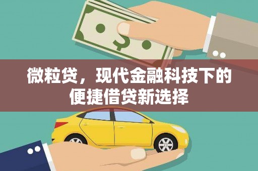 靖边微粒贷，现代金融科技下的便捷借贷新选择