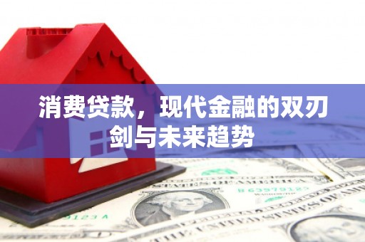 靖边消费贷款，现代金融的双刃剑与未来趋势