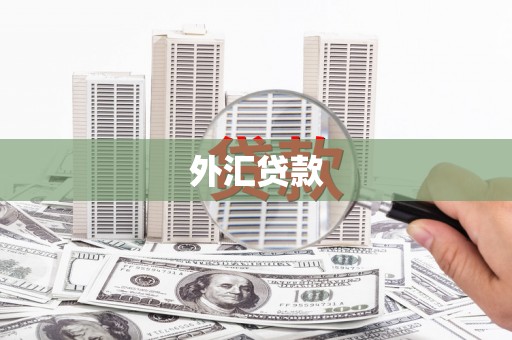 靖边外汇贷款