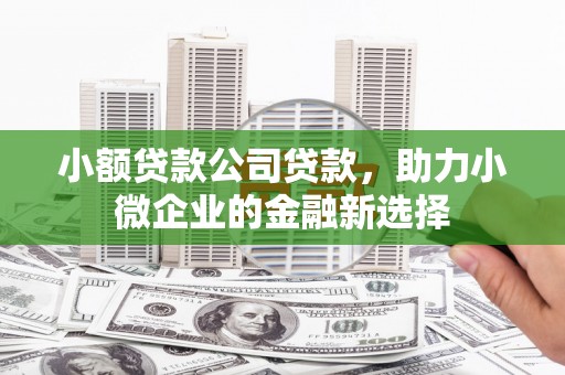 靖边小额贷款公司贷款，助力小微企业的金融新选择