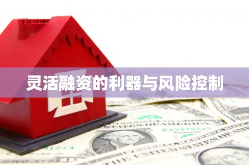 靖边灵活融资的利器与风险控制