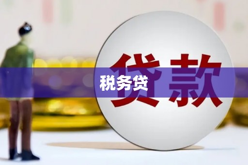 靖边税务贷