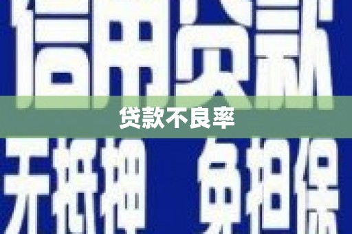 靖边贷款不良率