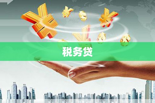 靖边税务贷