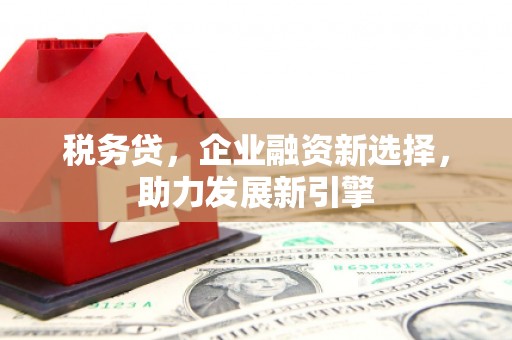 靖边税务贷，企业融资新选择，助力发展新引擎
