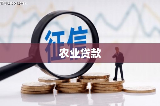 靖边农业贷款