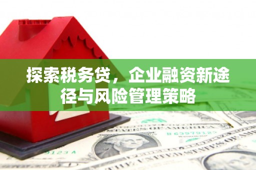 靖边探索税务贷，企业融资新途径与风险管理策略