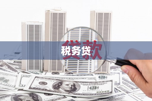 靖边税务贷