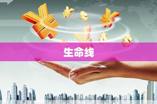 靖边生命线