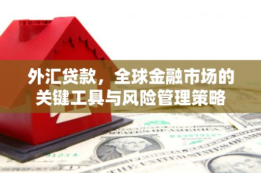 靖边外汇贷款，全球金融市场的关键工具与风险管理策略