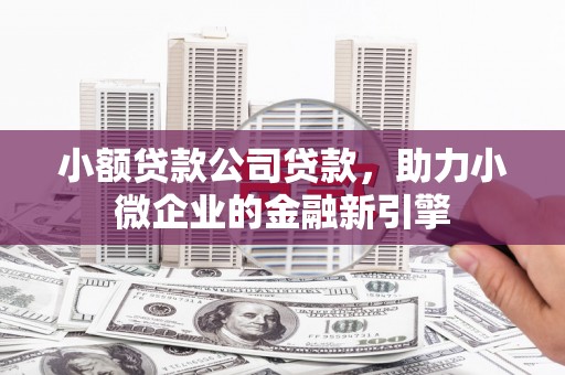 靖边小额贷款公司贷款，助力小微企业的金融新引擎
