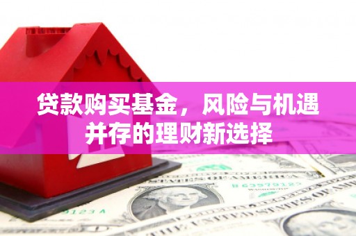 靖边贷款购买基金，风险与机遇并存的理财新选择