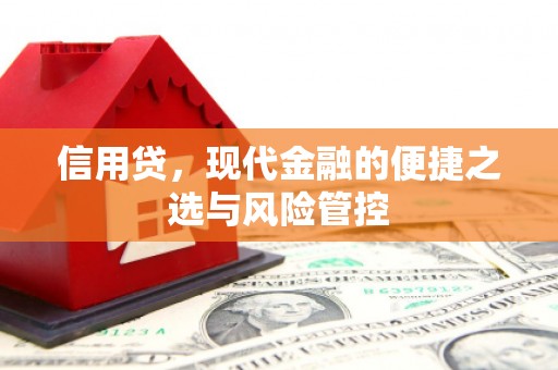 靖边信用贷，现代金融的便捷之选与风险管控
