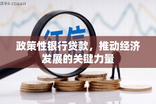 靖边政策性银行贷款，推动经济发展的关键力量
