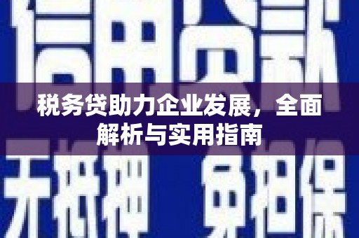 靖边税务贷助力企业发展，全面解析与实用指南