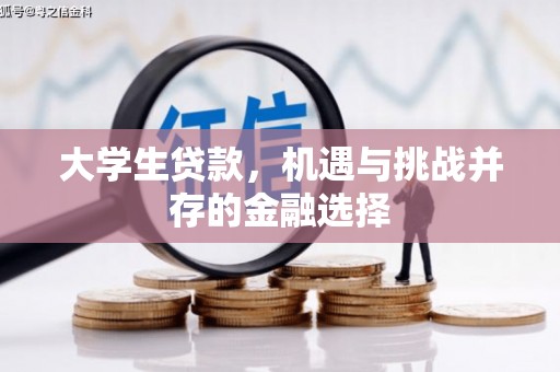靖边大学生贷款，机遇与挑战并存的金融选择