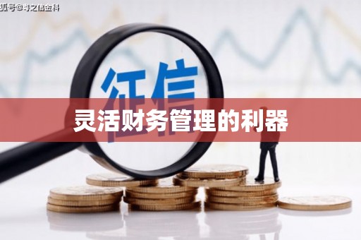 靖边灵活财务管理的利器