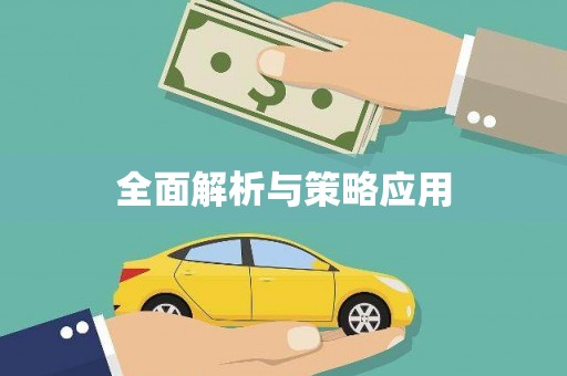 靖边全面解析与策略应用