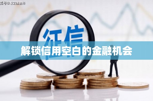 靖边解锁信用空白的金融机会