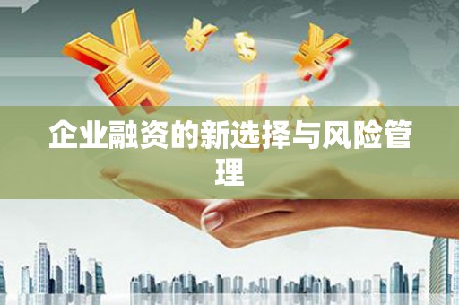 靖边企业融资的新选择与风险管理