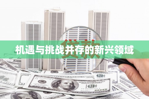 靖边机遇与挑战并存的新兴领域
