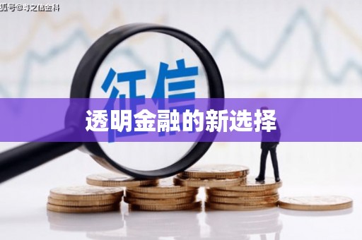 靖边透明金融的新选择